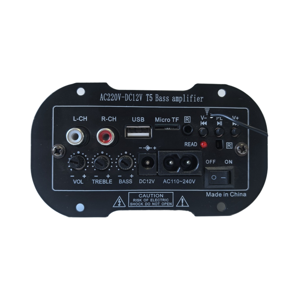 Bluetooth amplifier board for 12V/220V simulation