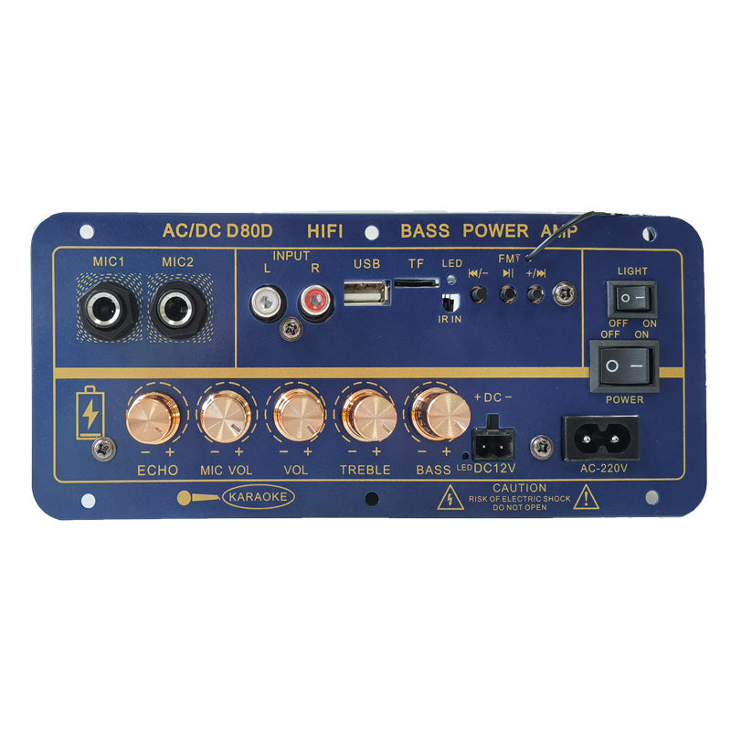 Digital Bluetooth amplifier board with rechargeable battery