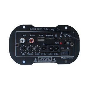 Bluetooth amplifier board for 12V/220V simulation
