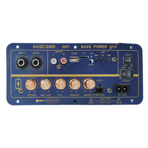 Digital Bluetooth amplifier board with rechargeable battery